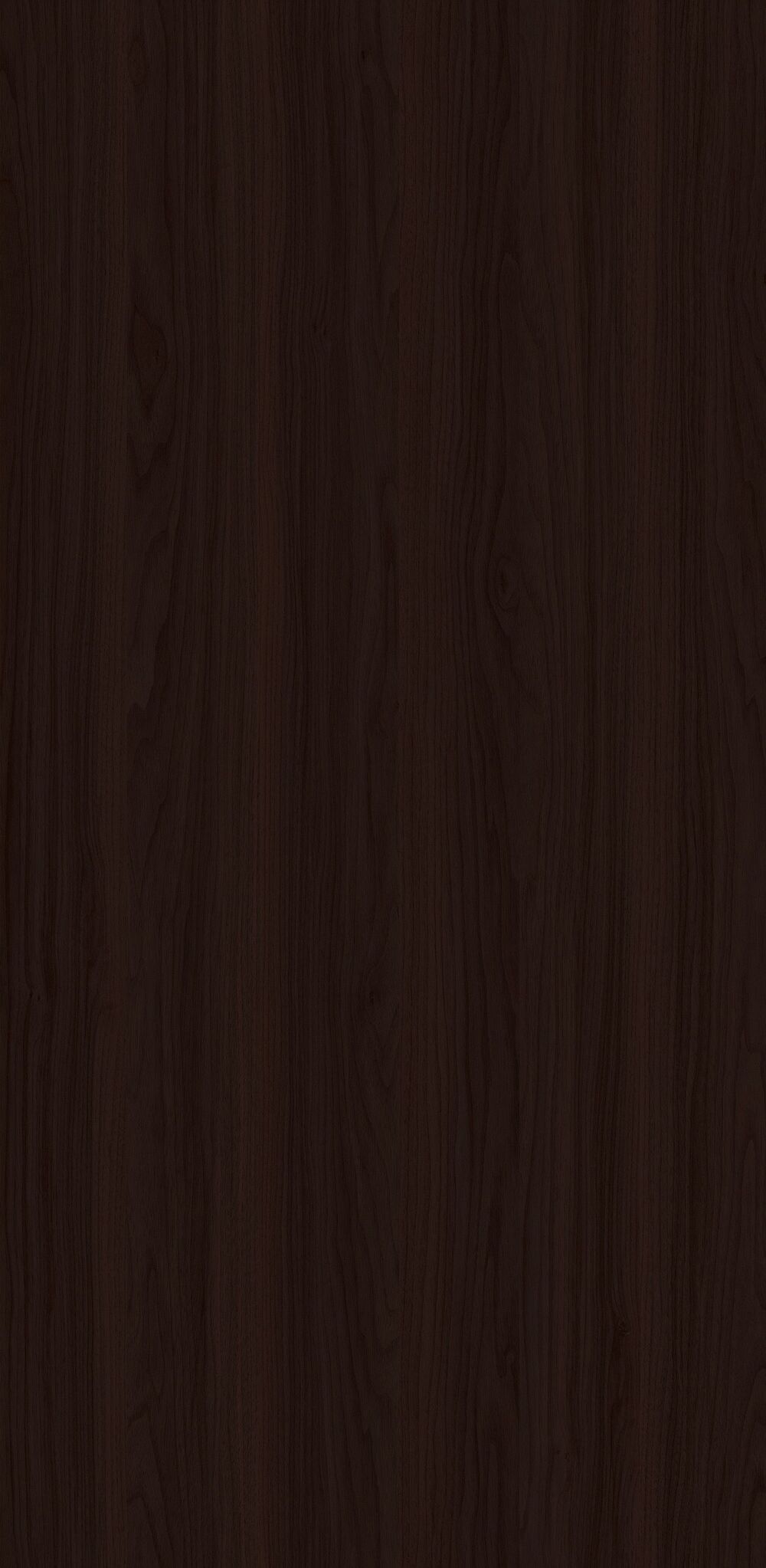 YDHTB1143 科蒂纳胡桃