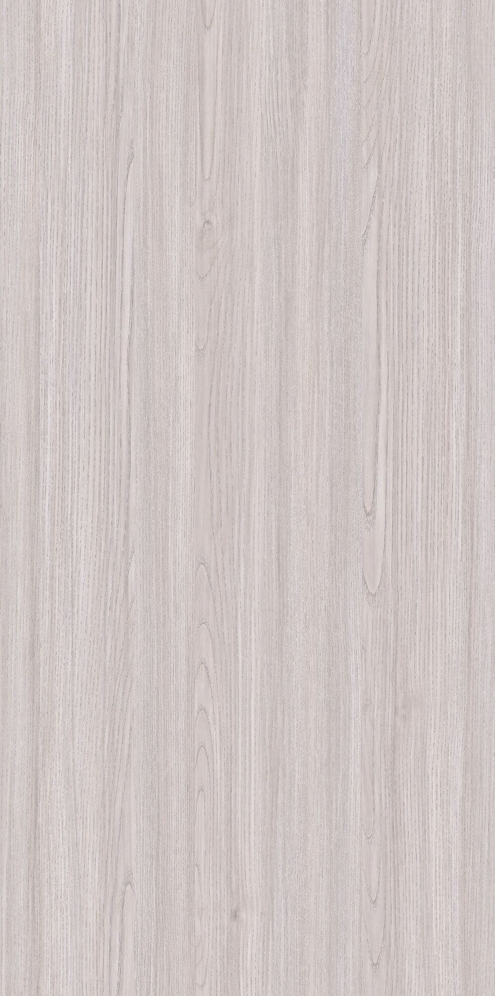 YDHTB1131 克里特橄榄木