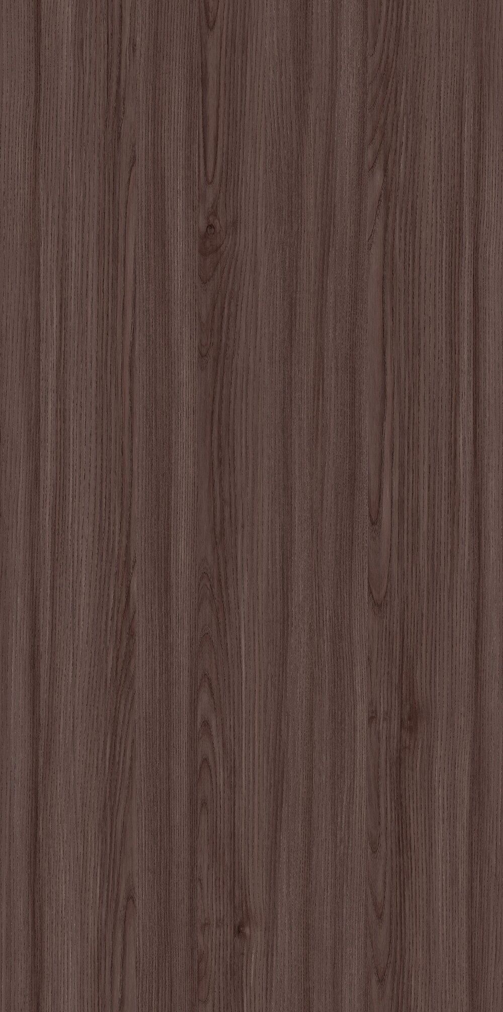 YDHTB1131 克里特橄榄木