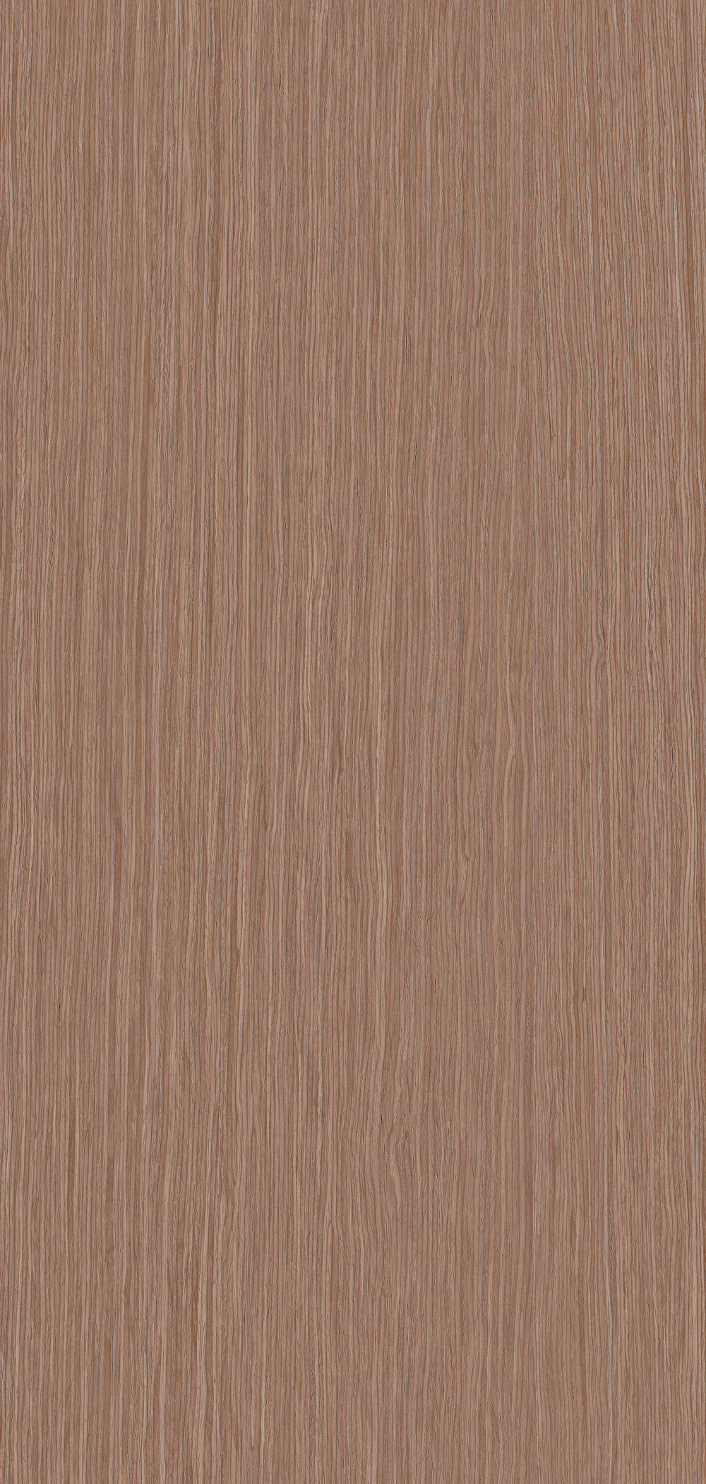 YDH405  康沃尔橡木