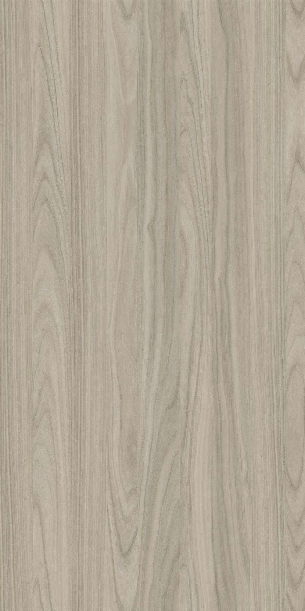 YDHTB1053 安科纳胡桃 