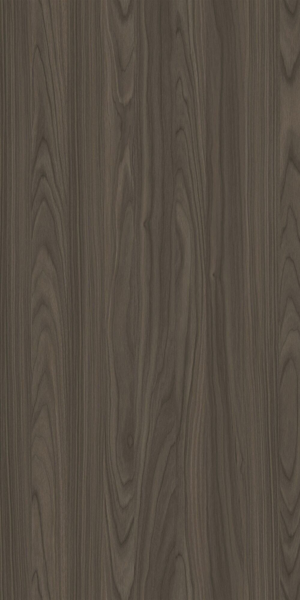 YDHTB1054 安科纳胡桃 