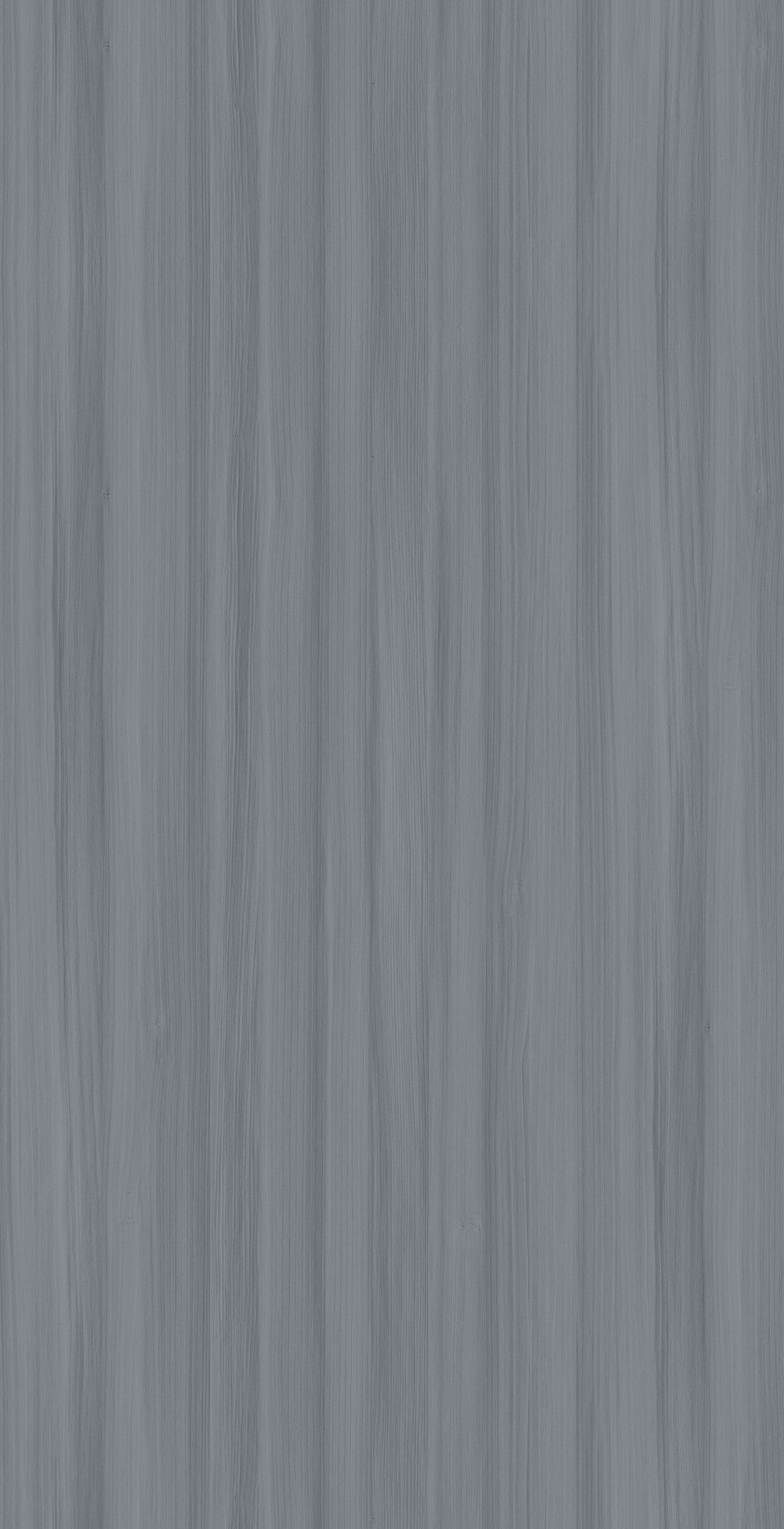 YDH511  阿尔泰枫桦 