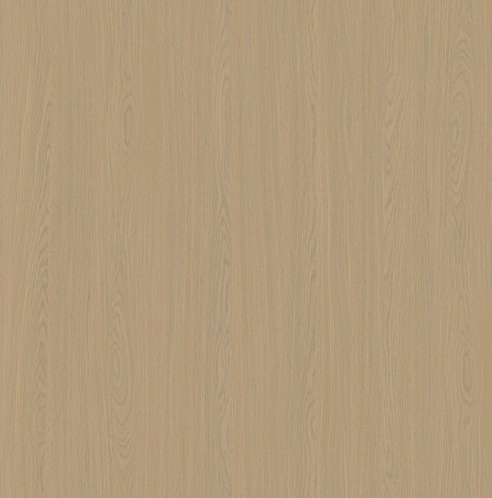 YDHTB1251博洛尼亚橡木