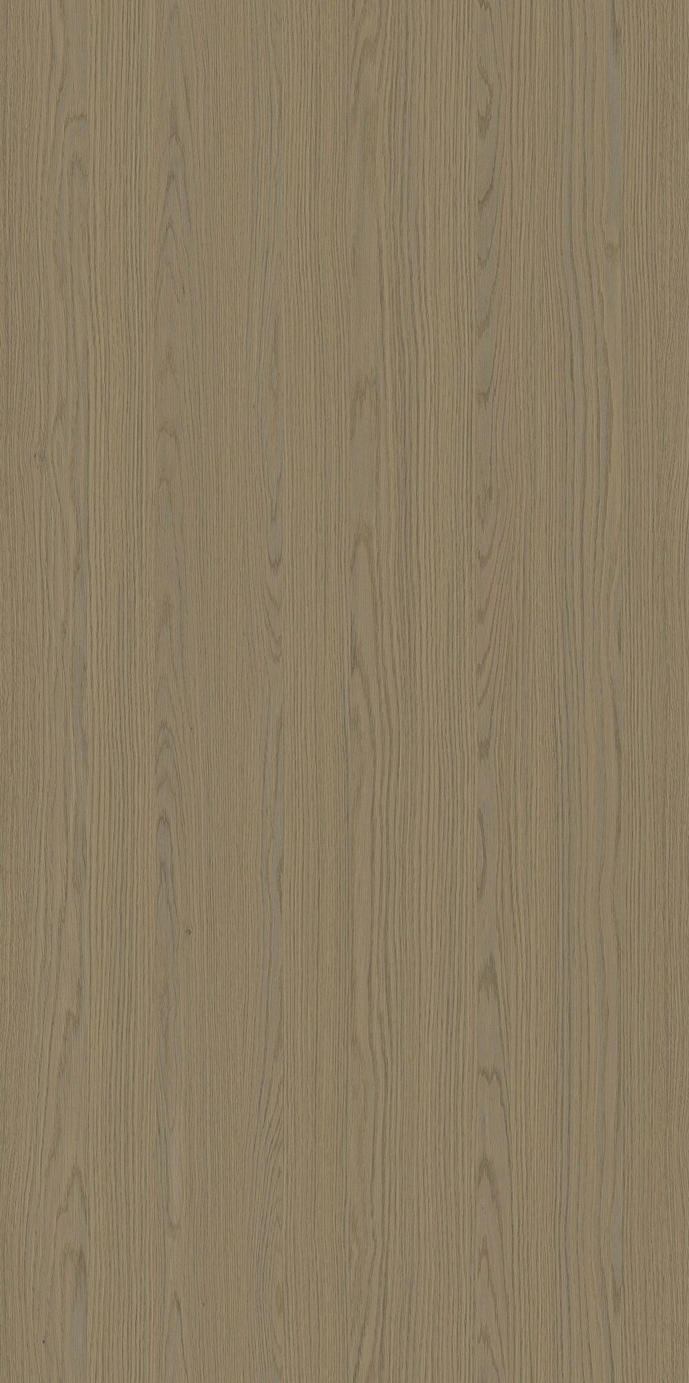 YDHTB1325  托莱多橡木